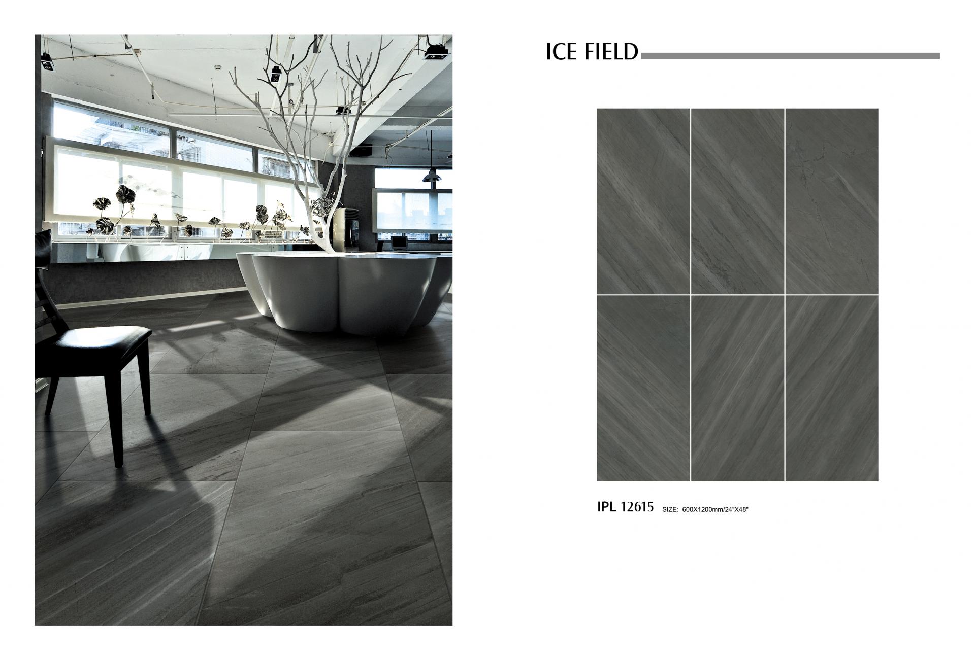IP Céramique - Chrome - Graphite main image 1