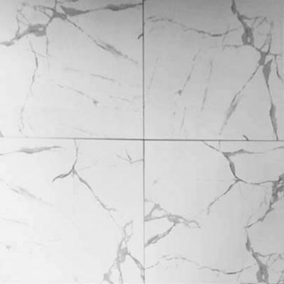 IPHCALACATTA2